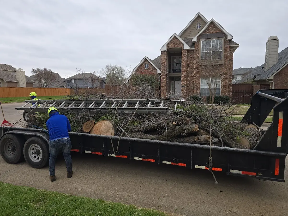 Expert Crown Reduction with proper safety equipment in Stony Ridge